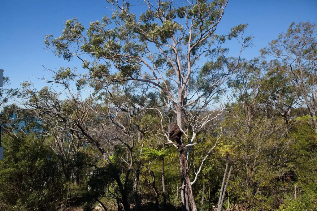 Bannisters Port Stephens - Général