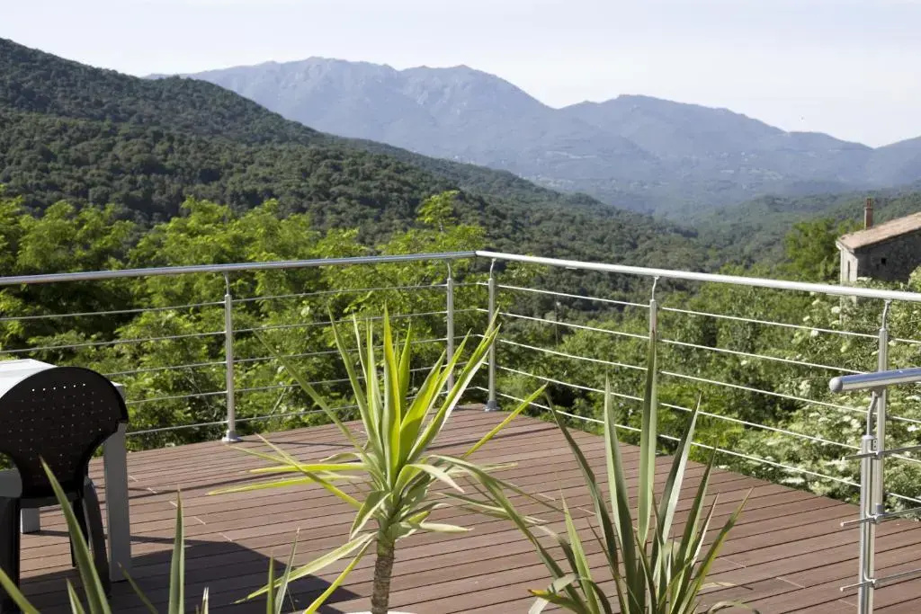 Balcony & Terrace