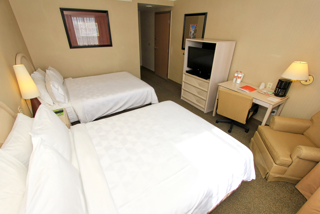 Holiday Inn Leon - Poliforum by IHG - Général
