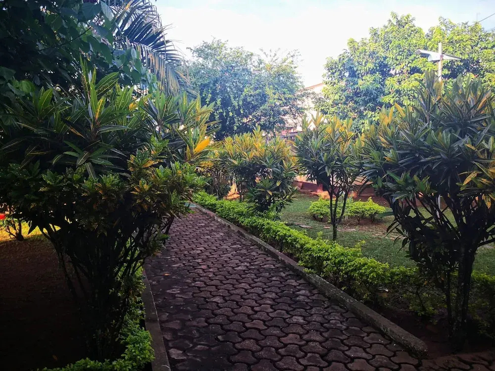 Dans un jardin au centre ville