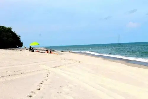 Beach & Waterfront