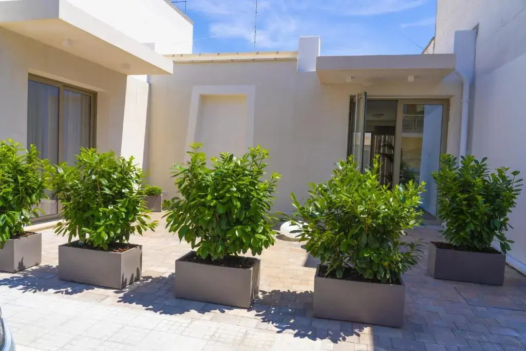 11 Catalani Rooms