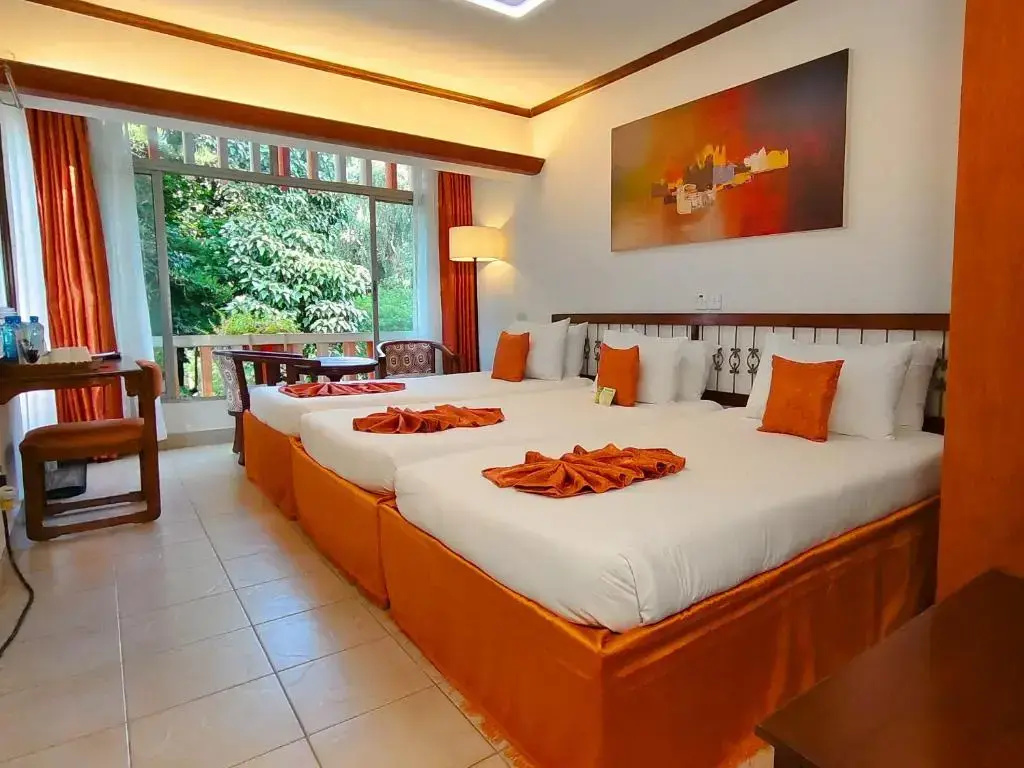 Superior Double room (full double bed)
