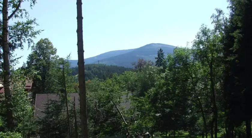 Pokoje gościnne "Rena"
