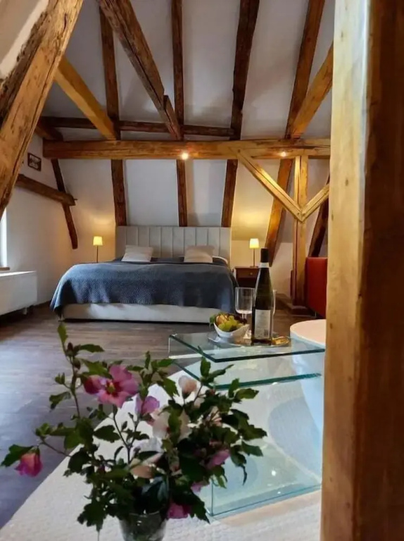 Hotel Svamberský Dum - Chambres