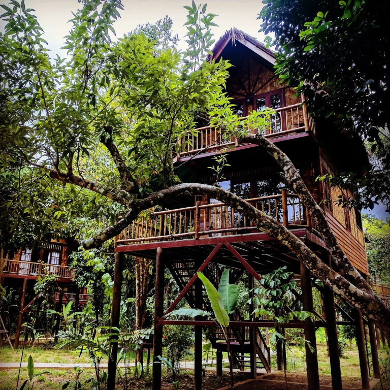 Our Jungle Camp - Eco Resort