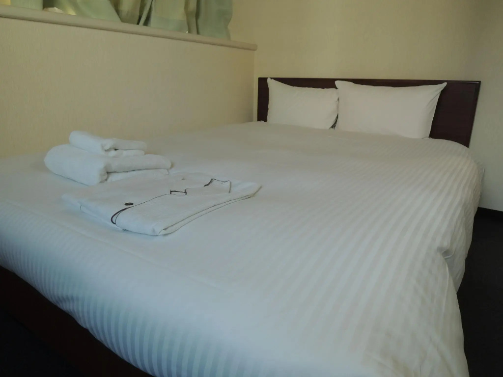 Hotel Green City - Général