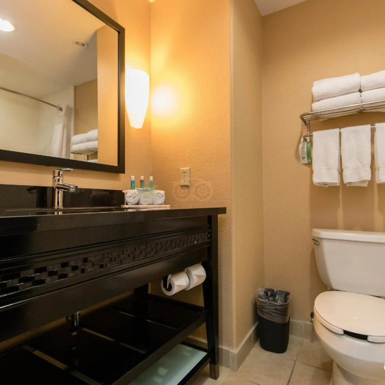 Comfort Inn & Suites Dallas Medical - Market Center - Général