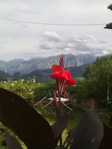 Balcony & Terrace