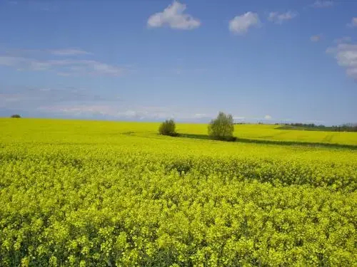 Ostseepension TonArt