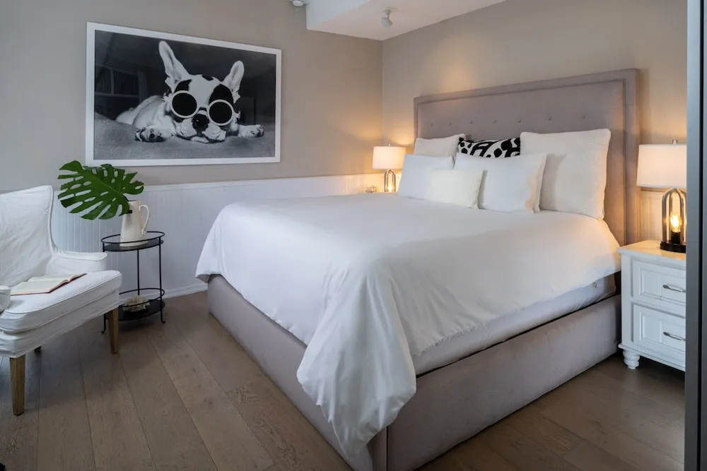 Alexander's Guesthouse - Adults Only - Chambres