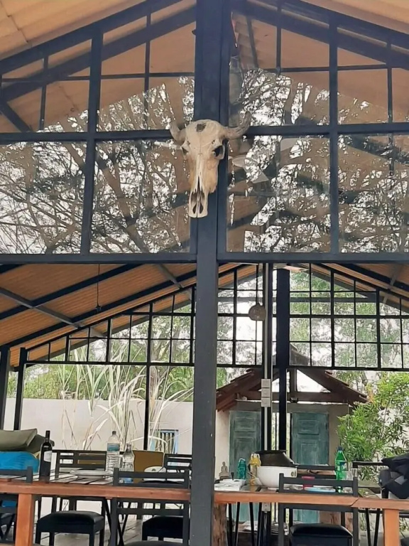 Elephant Lodge - Général