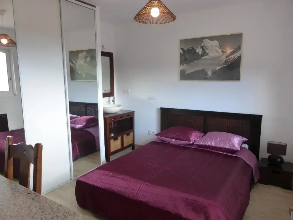Standard Double room with mountain view (full double bed)