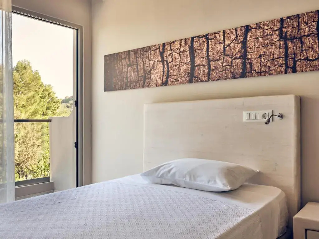 Standard Single room with garden view