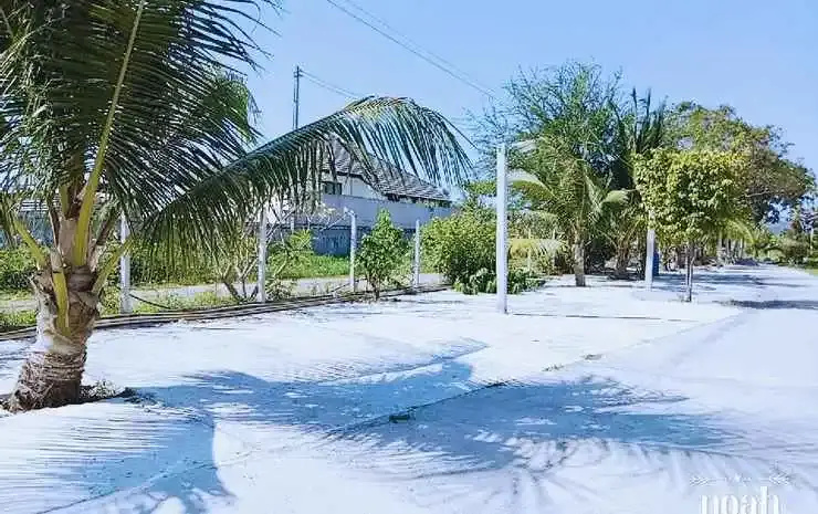 Beach & Waterfront