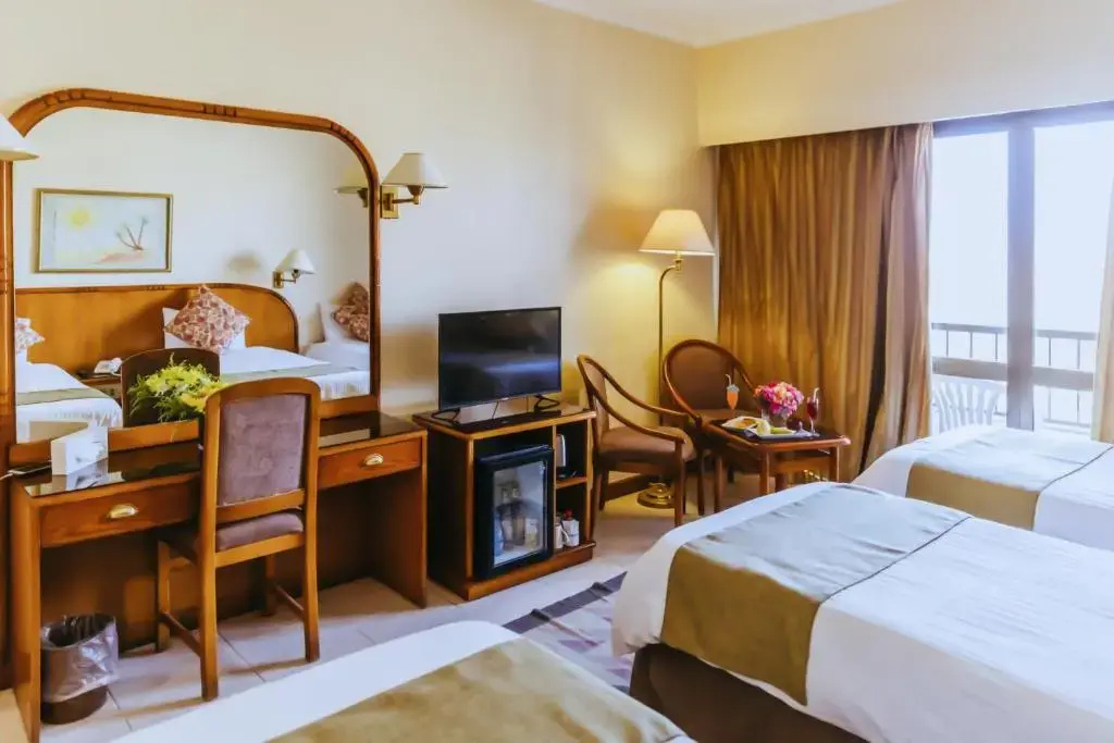 Standard Double room with Nile river view (full double bed)