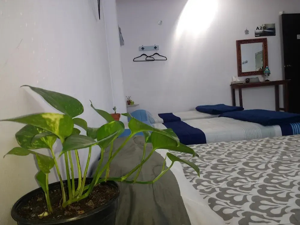 Bed in Dorm