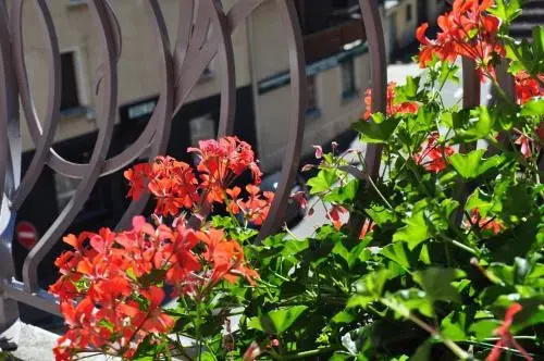 Balcony & Terrace