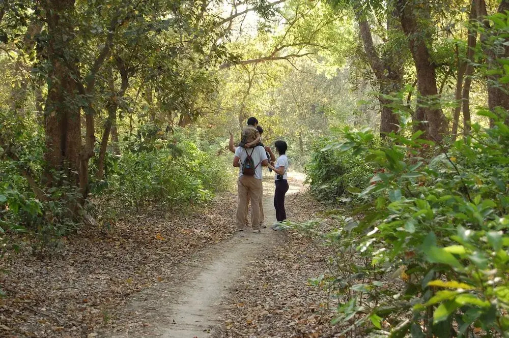 Jaagar The Spirit of Corbett - Général