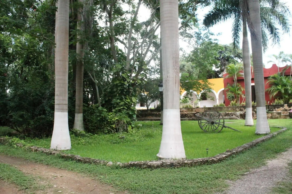Hacienda Blanca Flor - Général
