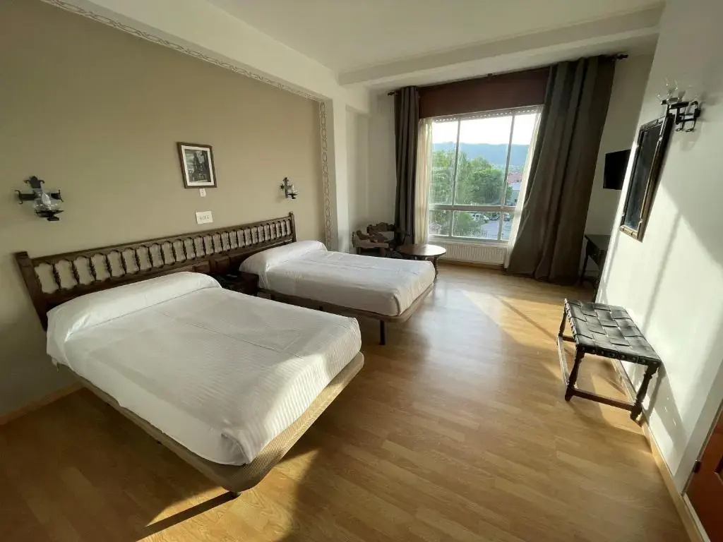 Standard Double room with mountain view (twin beds)