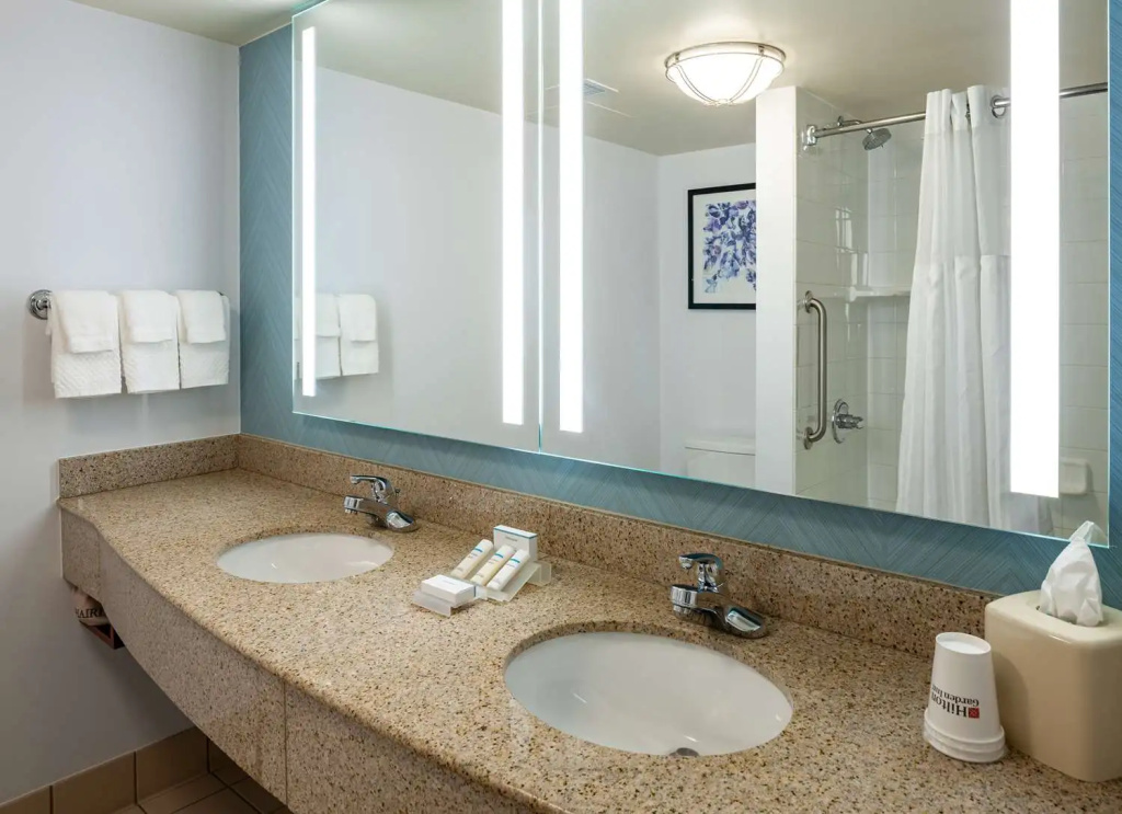 Hilton Garden Inn Chicago OHare Airport - Chambres