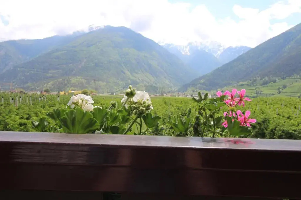 1 Bedroom Apartment with mountain view