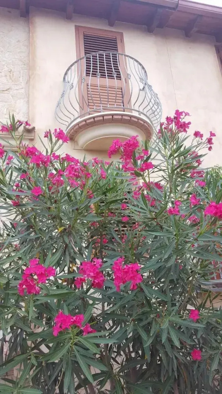 Apartment With 3 Bedrooms In Olia Speciosa With Furnished Terrace And Wifi 5 Km From The Beach