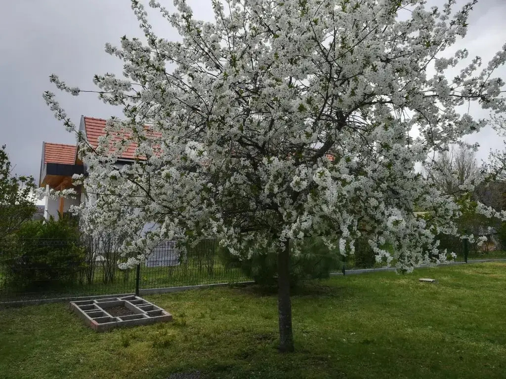 Nádasház - фото 10