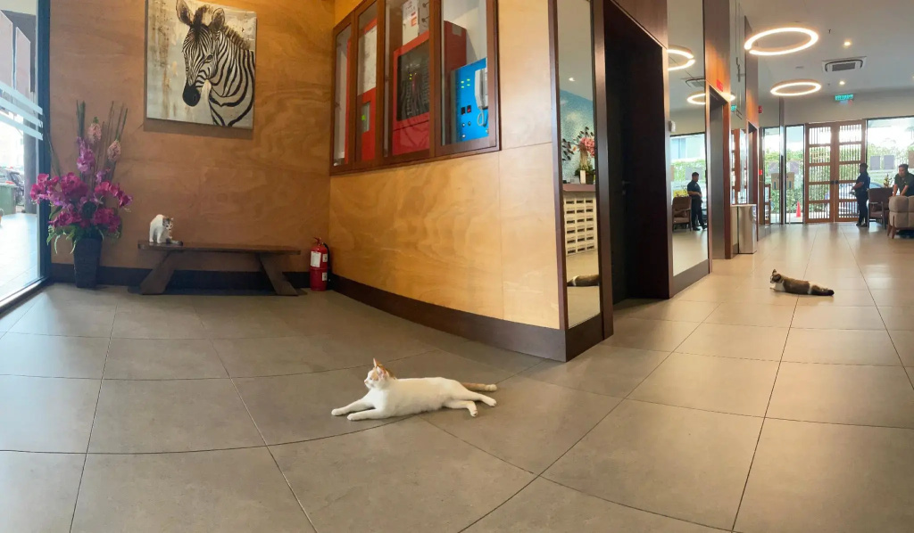 Hotel photo 32