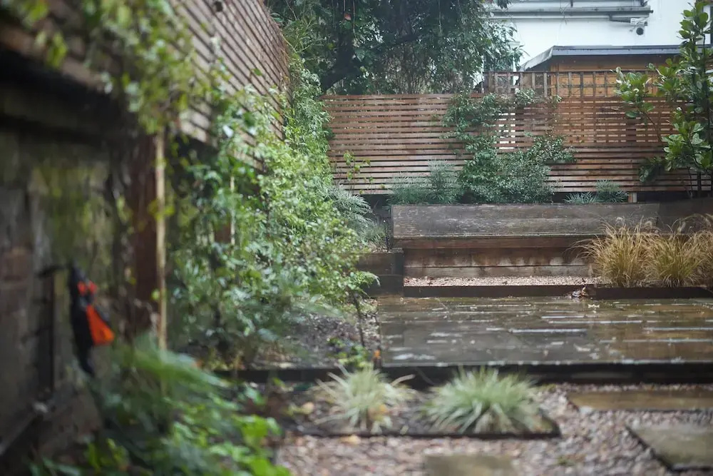 The Architect's House