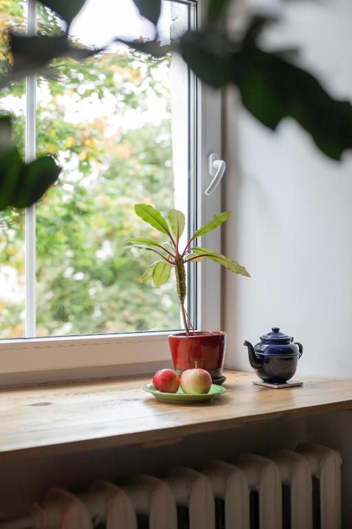 #stayhere - Stylish Studio Close to Old Town