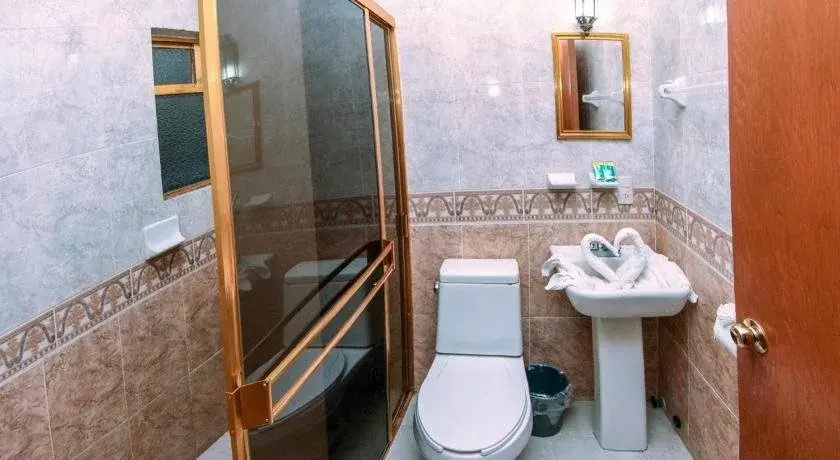 Hotel Plaza Baratillo - Général