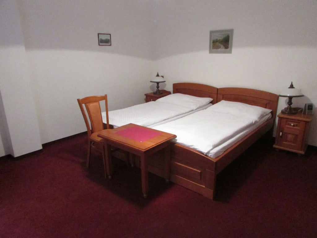 Hotel Pegas Brno - Général