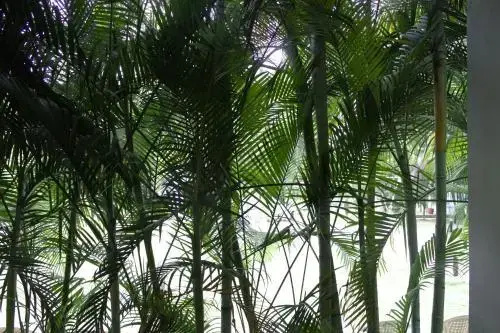 Mrugavani Resort & Spa - Général