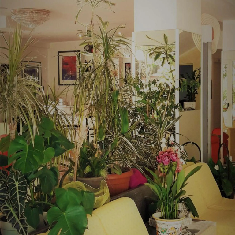Hotel photo 38