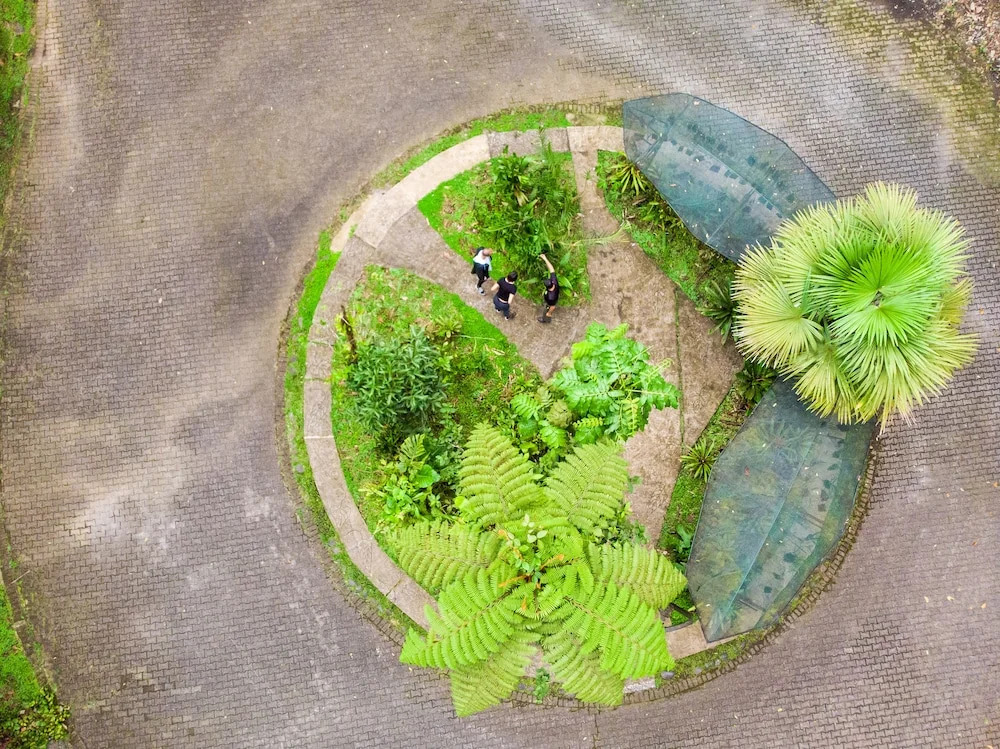 Tapirus Lodge - фото 11