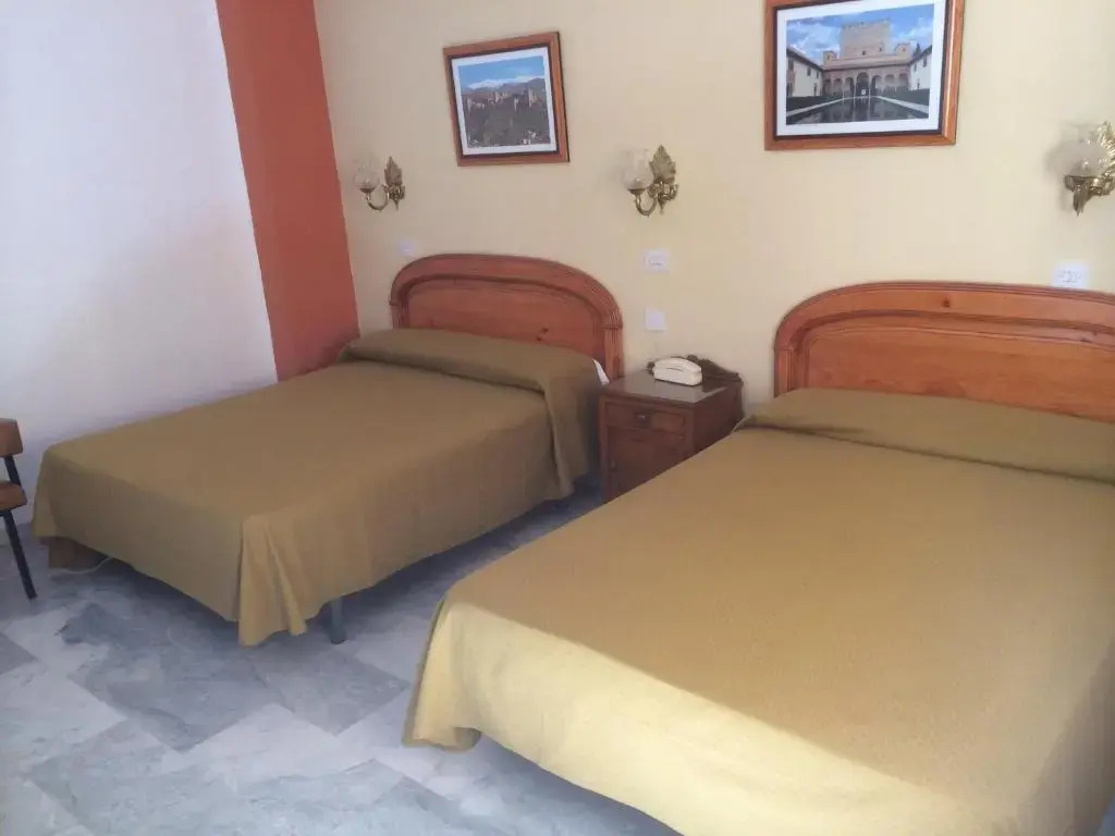 Standard Double room (full double bed)