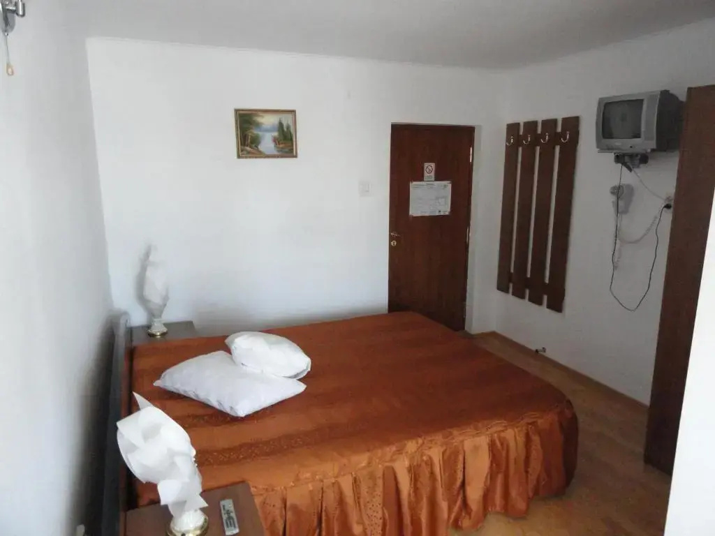 Pensiune Restaurant Avangarde - Chambres