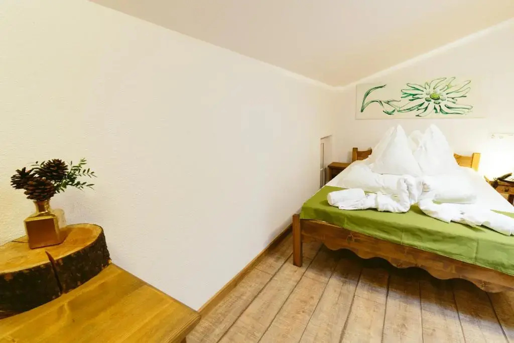 Economy Double room (full double bed)