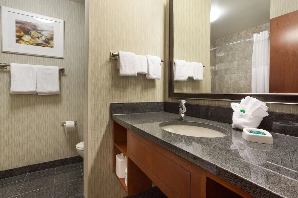 Drury Plaza Hotel Indianapolis Carmel - Chambres