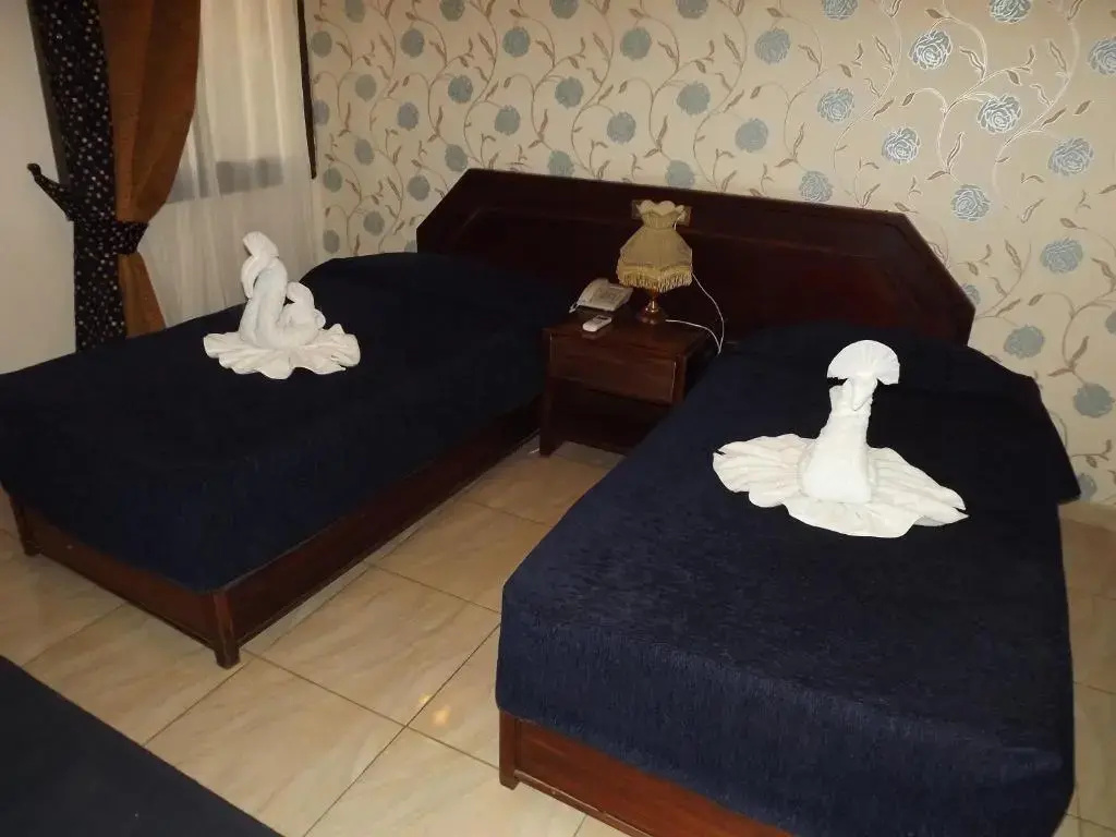 Economy Double room (twin beds)