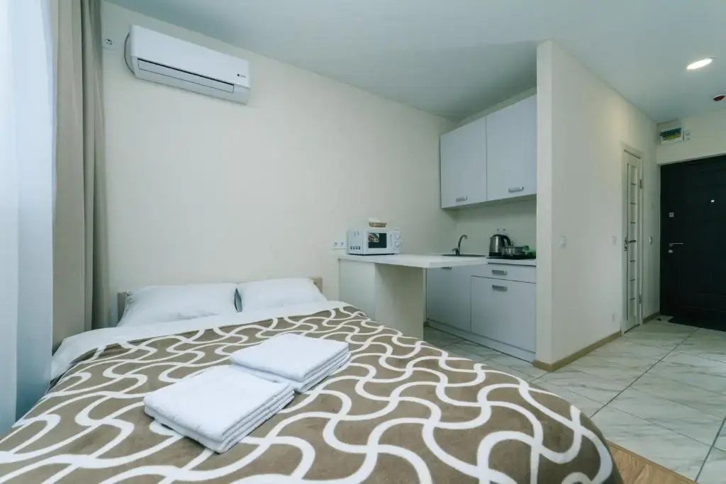 Standard Double room (full double bed)