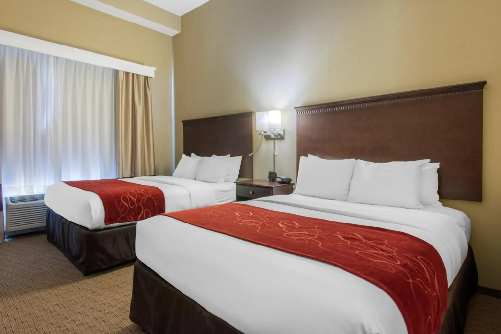 Comfort Suites Sarasota-Siesta Key photo 3