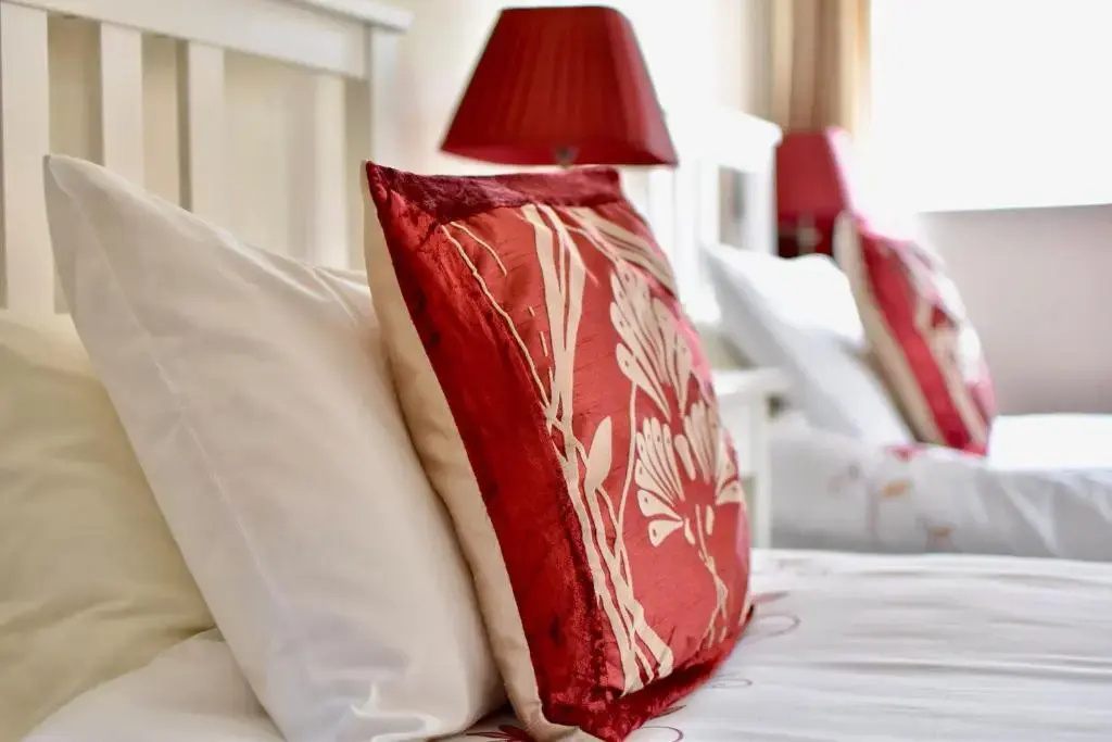 Standard Double room (twin beds)