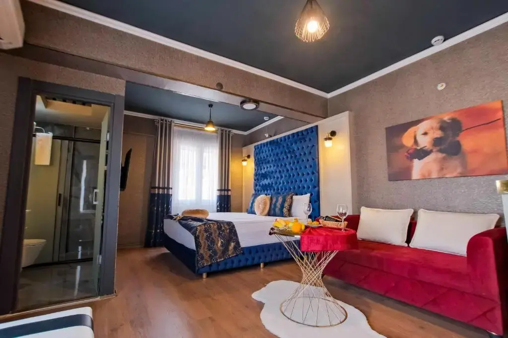 Standard Double room with balcony (full double bed)