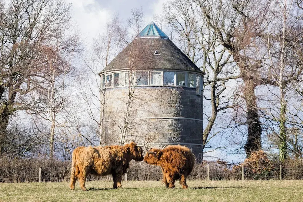 Retreat to the Water Tower