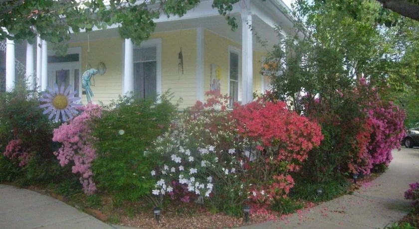 Blooming Garden Inn