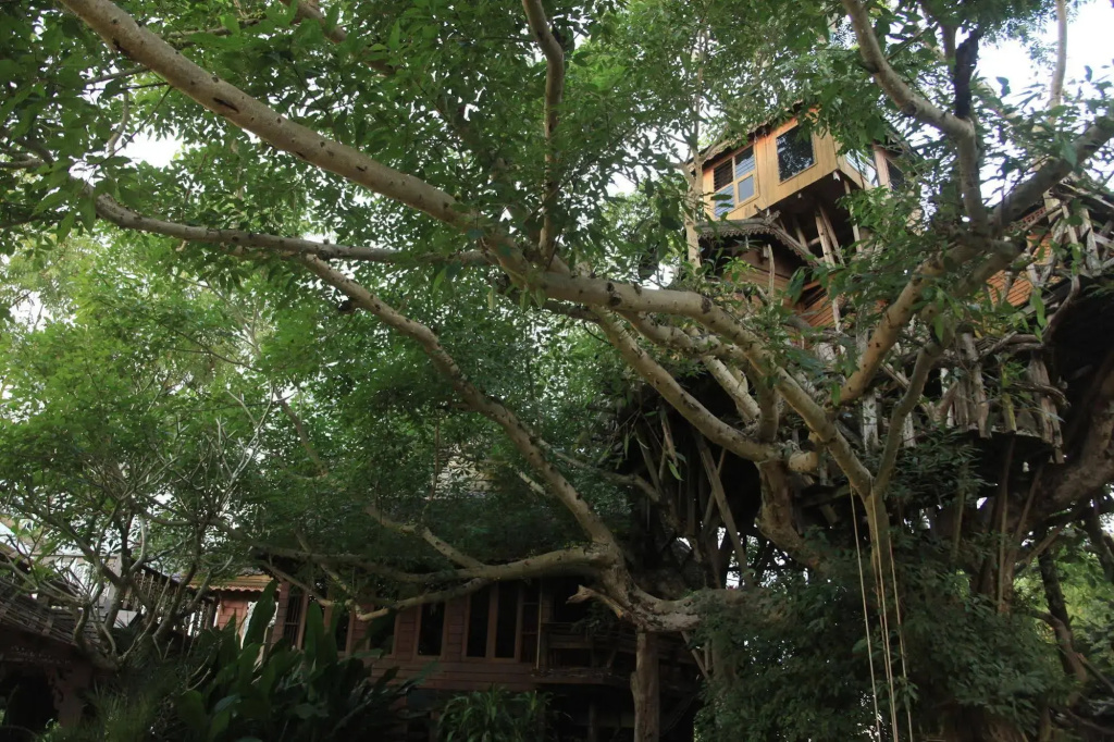 Pai Treehouse Resort - фото 34