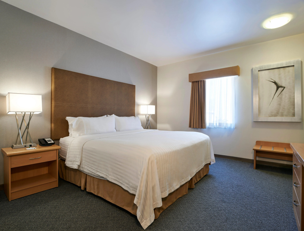 Holiday Inn & Suites Chihuahua Expo - Général